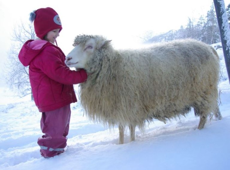 Foto: Inger Helen Stenevik