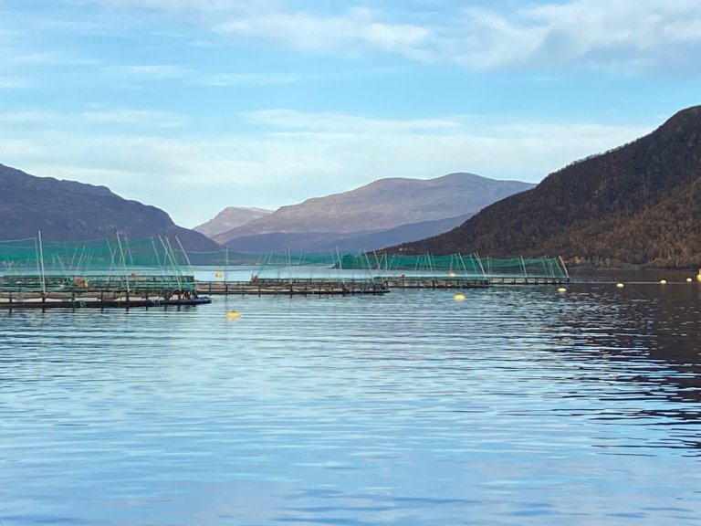 Fra lokaliteten Salangslia i Troms. Foto: Sonal Patel, Veterinærinstituttet