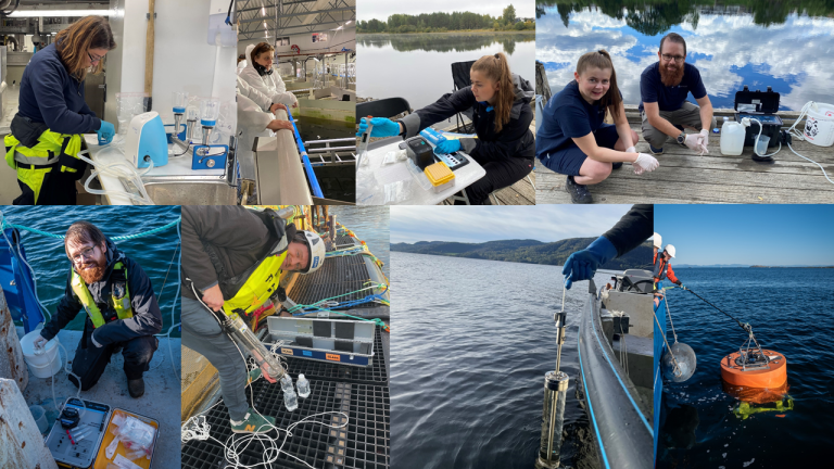 Bruk av miljø-DNA/RNA-metoder som overvåkningsverktøy krever biologisk og teknologisk kompetanse for å oppnå best mulig resultat. Foto: Veterinærinstituttet