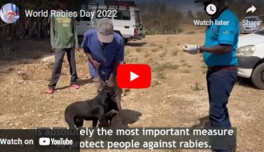 The Norwegian Veterinary Institute marks World Rabies Day