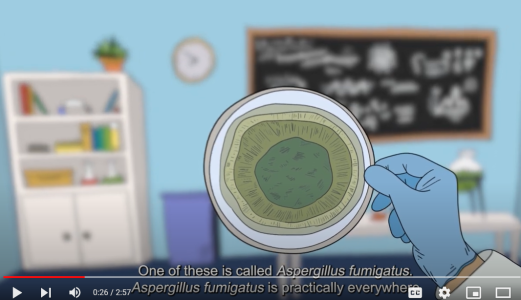 The development of fungicide resistance is a growing problem worldwide
