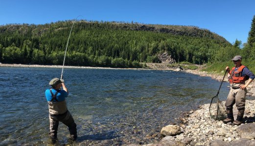 Fisk og fiskere tilbake i frisk elv