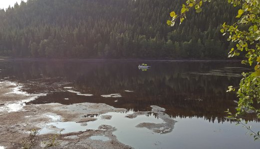 Bekjempelse av introdusert gjedde i Orkdal kommune i 2018