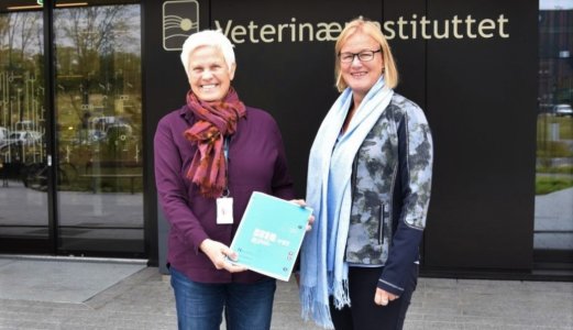 Årets NORM-VET rapport bekrefter en fortsatt lav forekomst av antibiotikaresistens hos produksjonsdyr i Norge