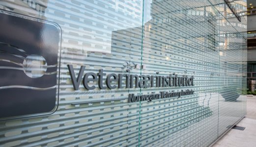 Regjeringen foreslår økt engangsbevilgning til NIBIO og Veterinærinstituttet