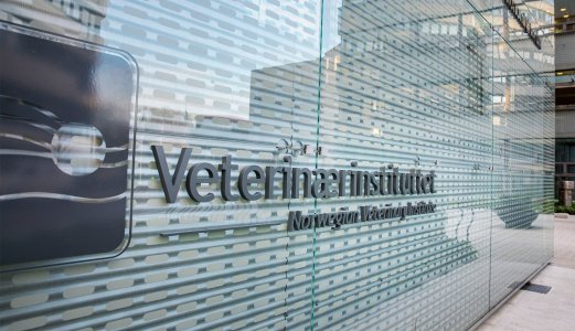 Veterinærinstituttets årsrapport 2017