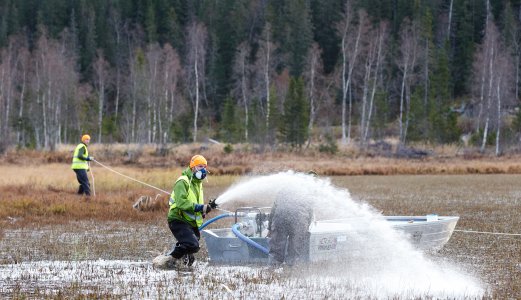 Fustavassdraget friskmeldt for lakseparasitt etter krevende behandling
