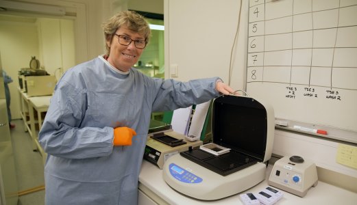 Veterinærinstituttet mottar midler til syv nye prosjekter