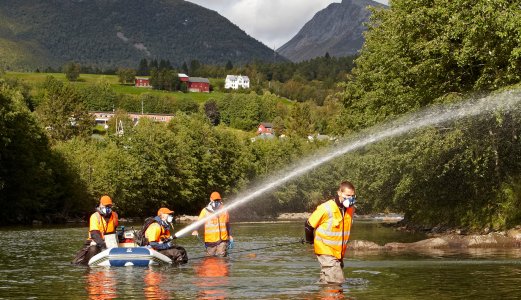 Lang kamp mot lakseparasitt kronet med seier