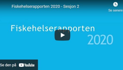 Opptak og presentasjoner fra lansering av Fiskehelserapporten