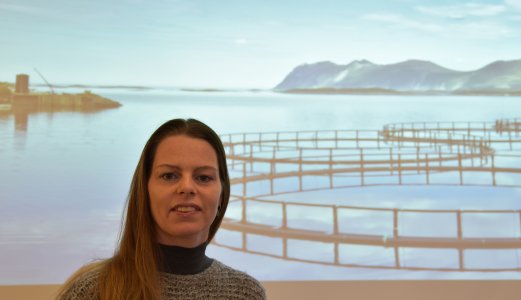 Bare halvparten av infiserte anlegg utvikler CMS