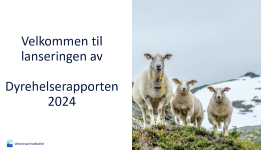 Opptak fra lanseringen av Dyrehelserapporten 2024