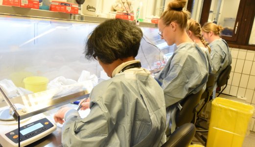 Nytt tilfelle av skrantesjuke frå Selbu