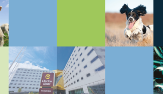 Veterinærinstituttet på Veterinærdagene 2019 i Trondheim