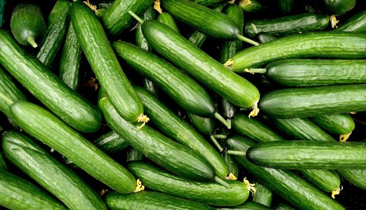 Agurk fra Spania er mistenkt smittekilde i utbrudd av salmonella