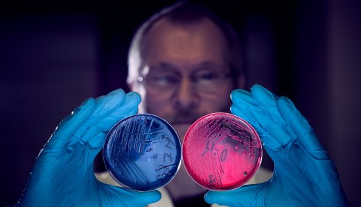Stadig mindre forbruk av antibiotika til matproduserende dyr i EU/EØS-landene 