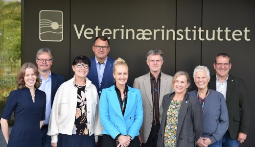 Direktørene fra veterinærinstuttene i Norden og Baltikum samlet
