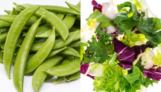 Lav forekomst av E. coli og Salmonella i friske spiseklare vegetabiler