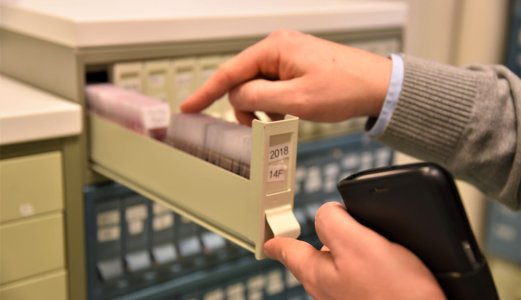 Digitaliserer fiskediagnostikken 