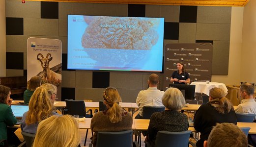 Opptak fra lanseringen av Dyrehelserapporten 2023