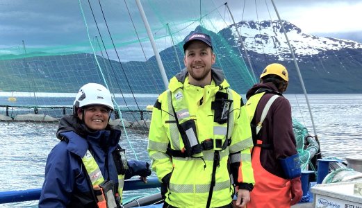 Vaksinert, ILA-smittet laks fikk stå i sjøen