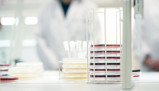 Fortsatt nedgang i forbruket av antibiotika til matproduserende dyr i EU/EØS-området