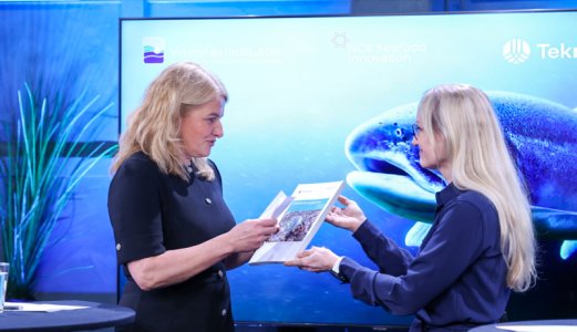 Fiskehelserapporten 2022: Intensiv produksjon og avlusning øker helse- og velferdsproblemene i lakseoppdrett