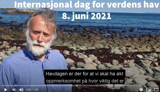Markerer internasjonal dag for verdens hav