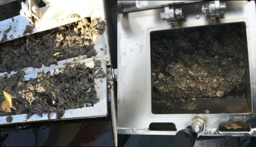 Lite antibiotikaresistens i det akvatiske miljø