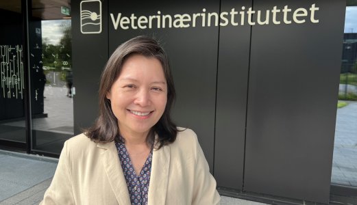 Veterinærinstituttet medlem i WOAHs Fiskehelsekommisjon