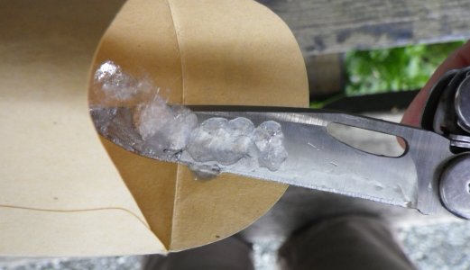 Lite oppdrettsfisk i elvene rundt Trondheimsfjorden i sportsfiskesesongen 2018