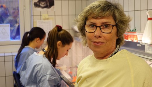 Vitenskapelig publikasjon om skrantesjuke på norsk elg 