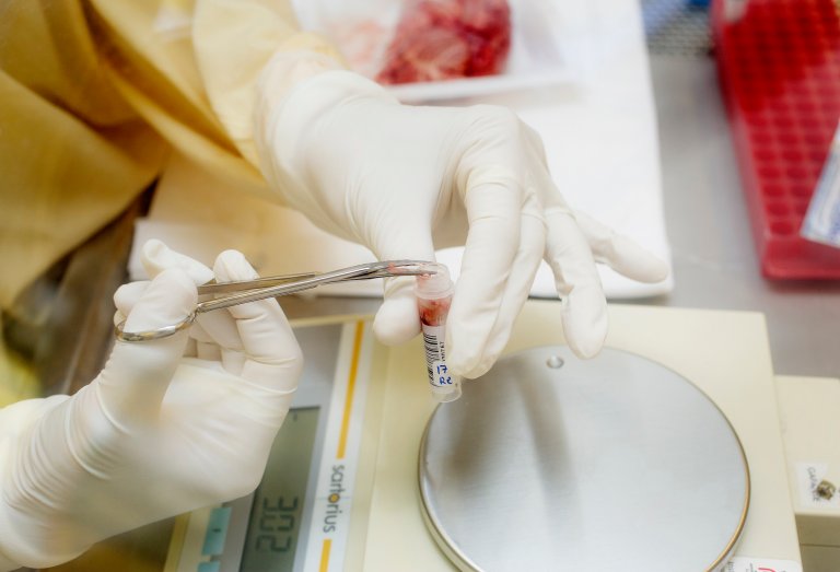 Seniorforsker Sylvie Benestad ved Veterinærinstituttet ønsker å sammeligne funnet i Illinois med funnene i Norge. Foto: Agnete Brun