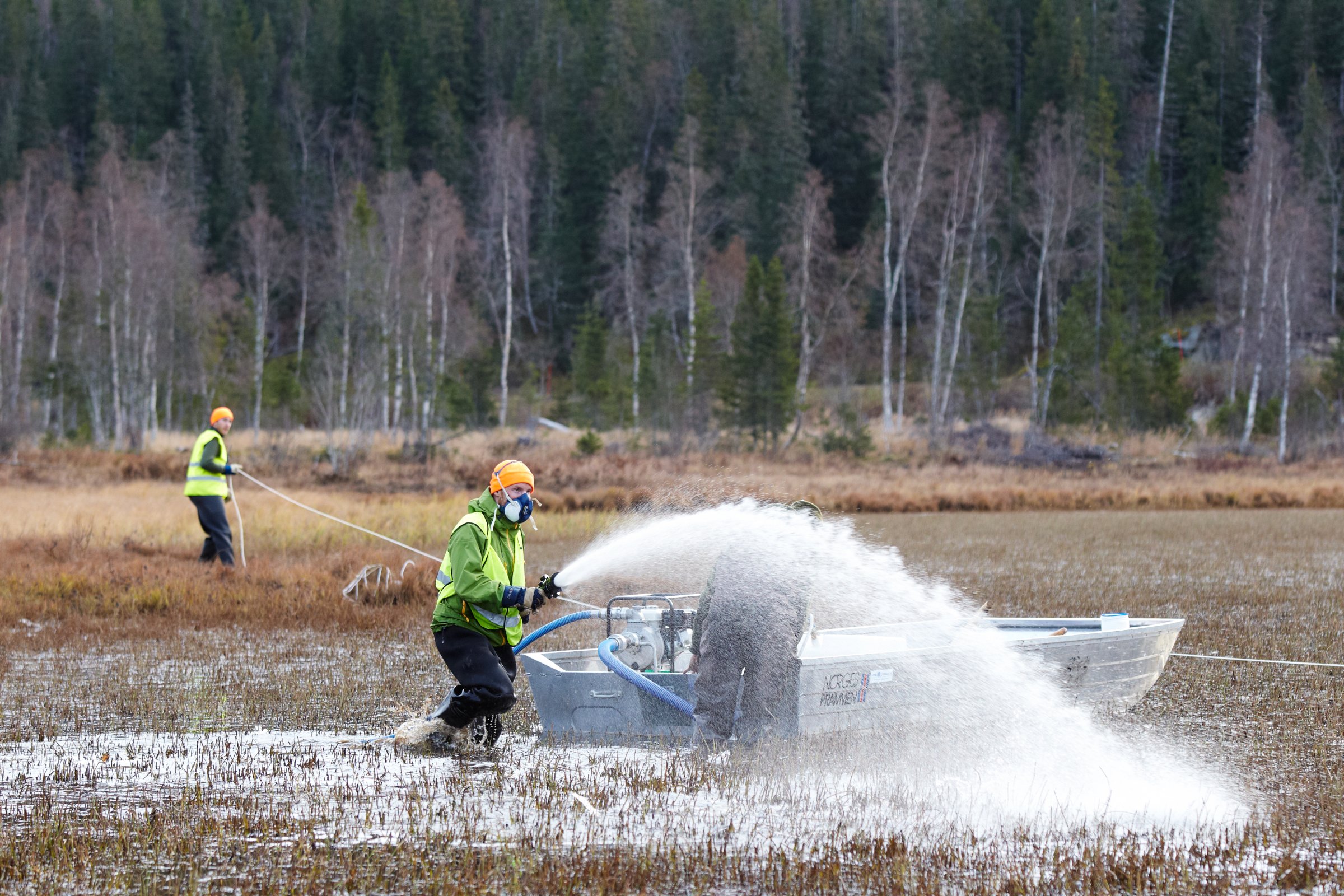 Behandlingspersonell doserer rotenon i grunne sivområder. Foto: Dag Karlsen