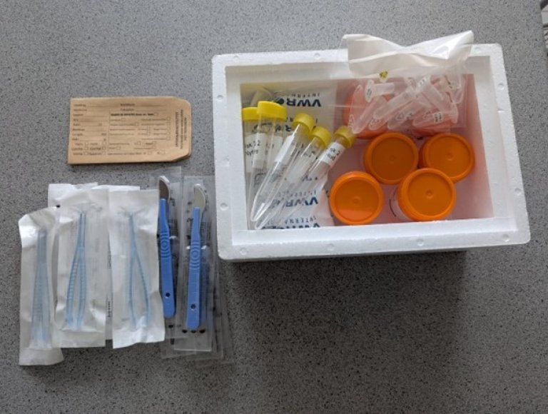 Boks med prøvetakingsutstyr for uttak av prøver fra tre fisk til innsendelse til Veterinærinstituttet.