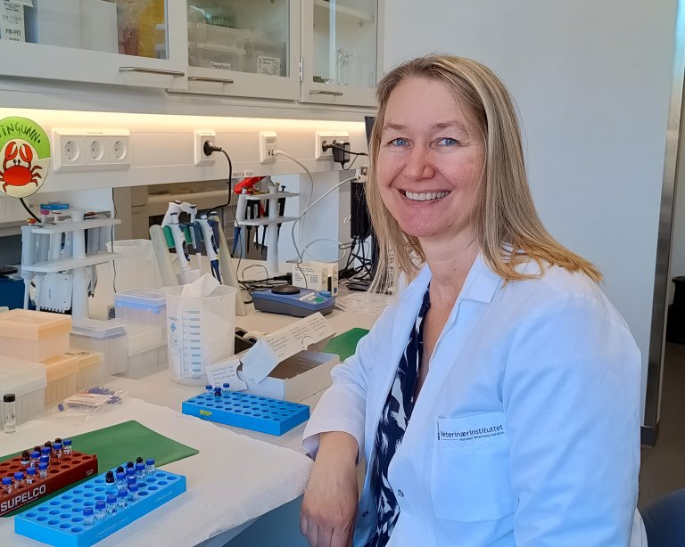 Forsker Ingunn Anita Samdal ved Veterinærinstituttet, mener at med videre forskning kan metoder utvikles til å gi rask påvisning av algegiften ute på anleggene.