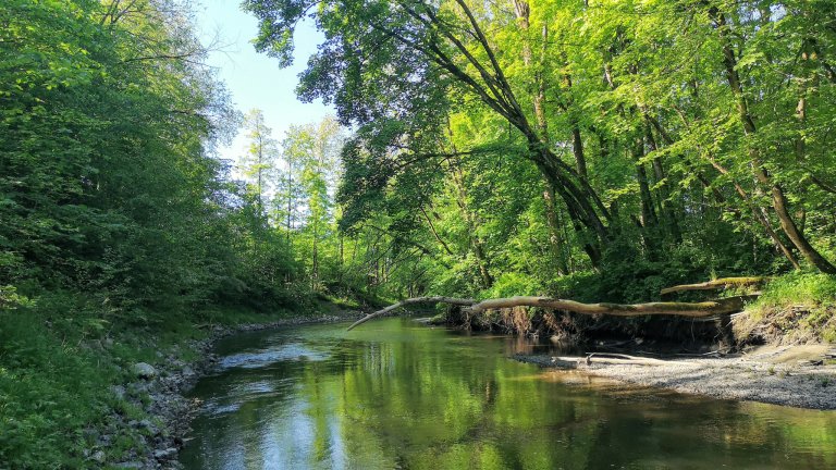 Foto som viser Lierelva i Drammensvassdraget.