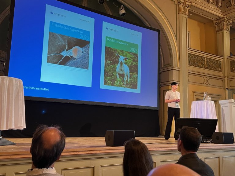 foto av Ingunn Sommerset på scenen under sitt foredrag