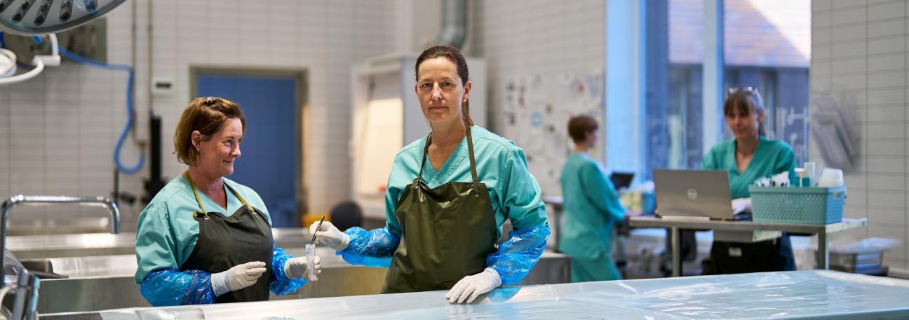 Se våre ledige stillinger på Finn.no