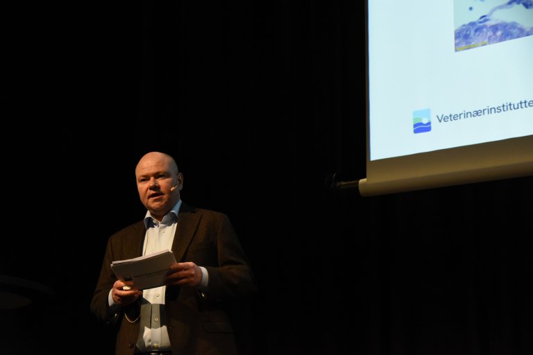 Fiskehelseansvarlig Torfinn Moldal presenterer Fiskehelserapporten på Frisk Fisk-konferansen i Tromsø 11. mars 2025. Foto Asle Haukaas